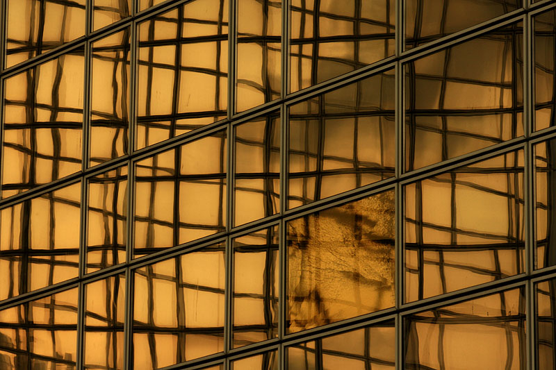 En cage