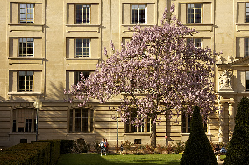 Jardin au sloeil