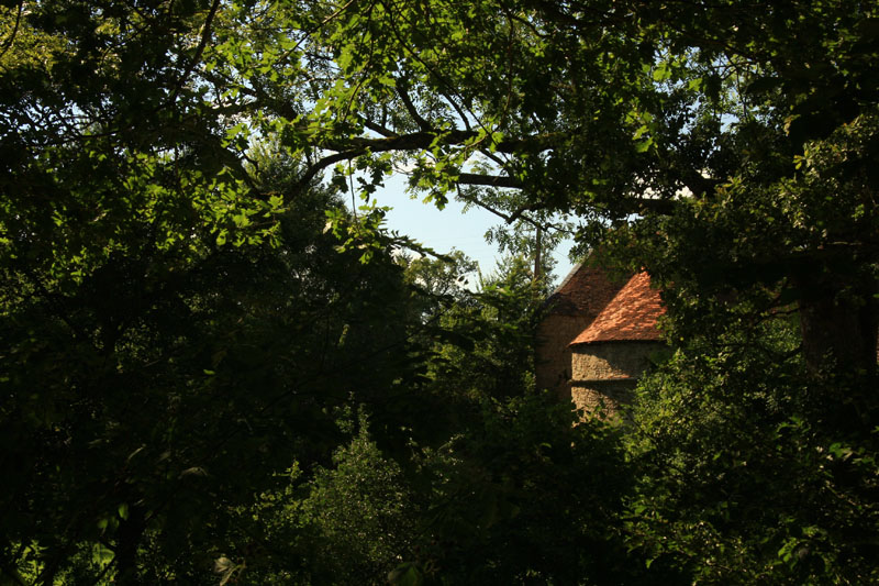 Au coin du bois