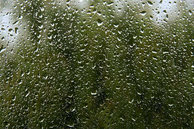 Rainy day