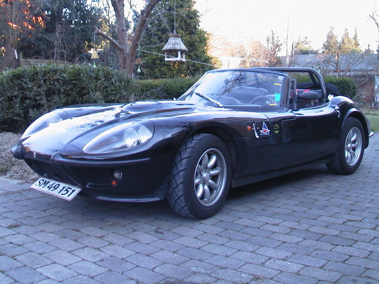 Mantula Spyder 1.JPG