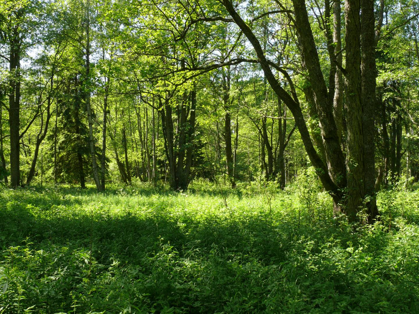 Slitere National Park
