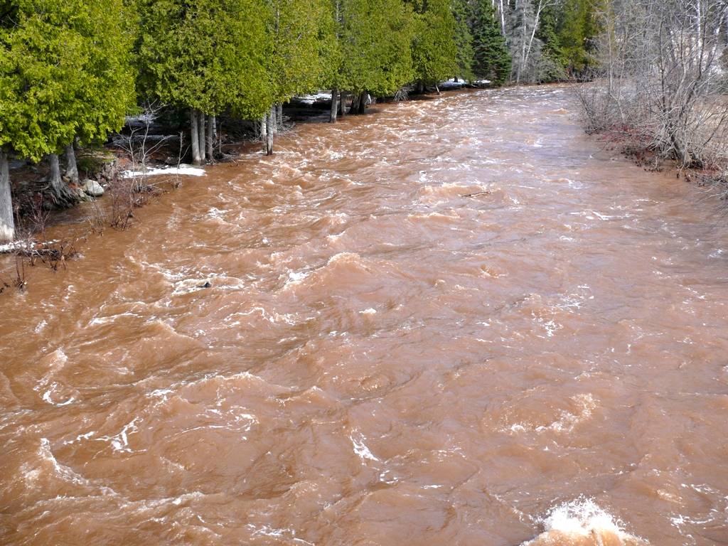 Gooseberry falls