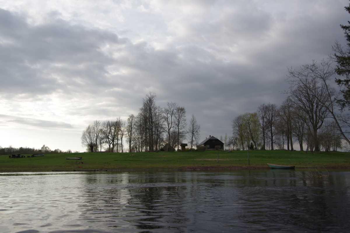 Salaca