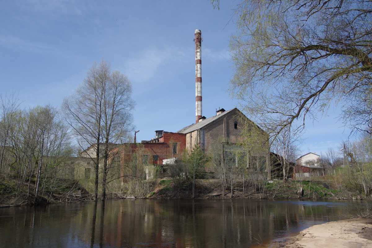 Salaca