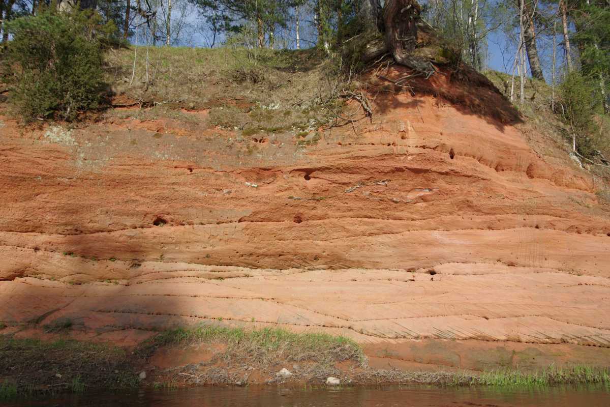 Salaca