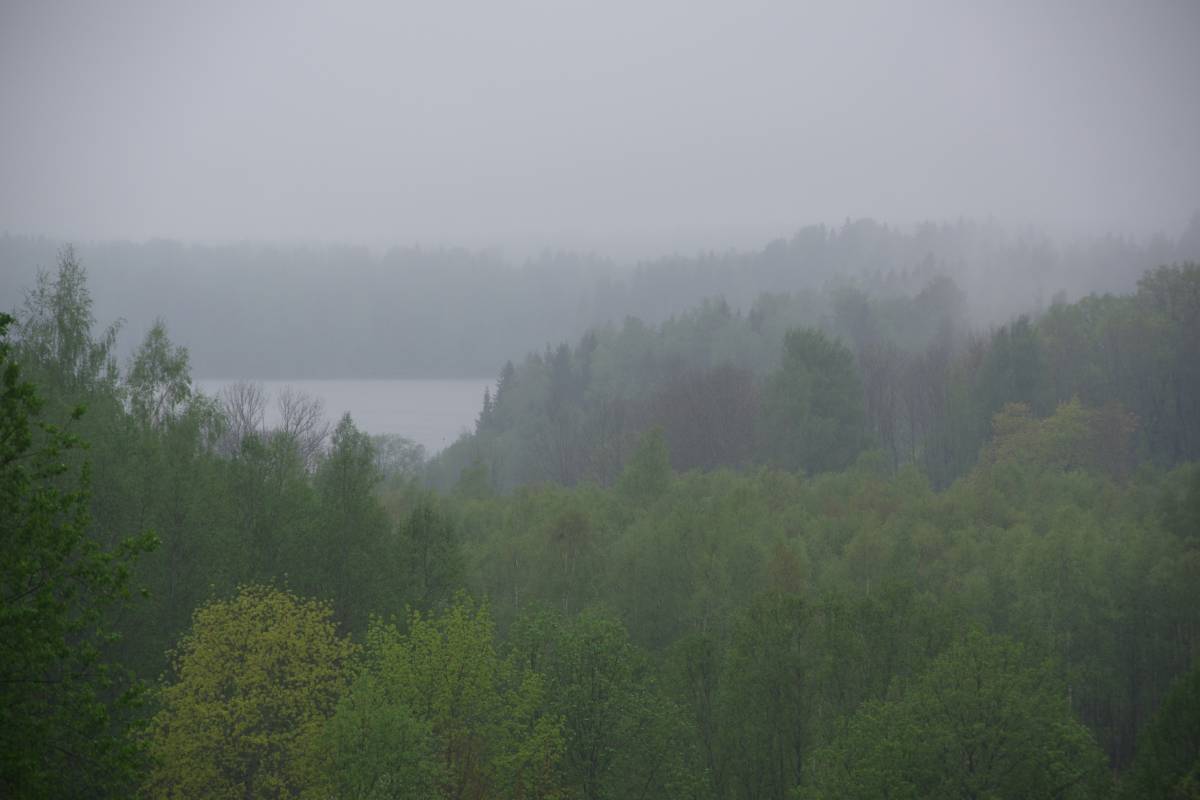 Kala lake area