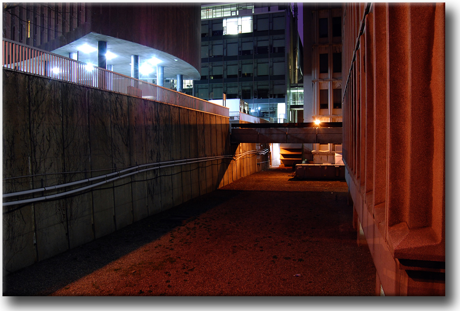 DSC_7756.jpg