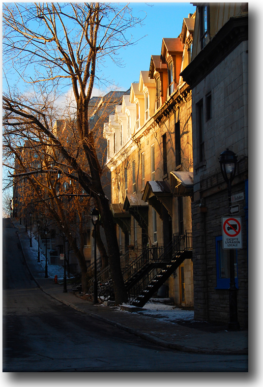 DSC_7871.jpg