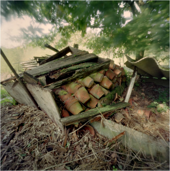 Pinhole 6x6