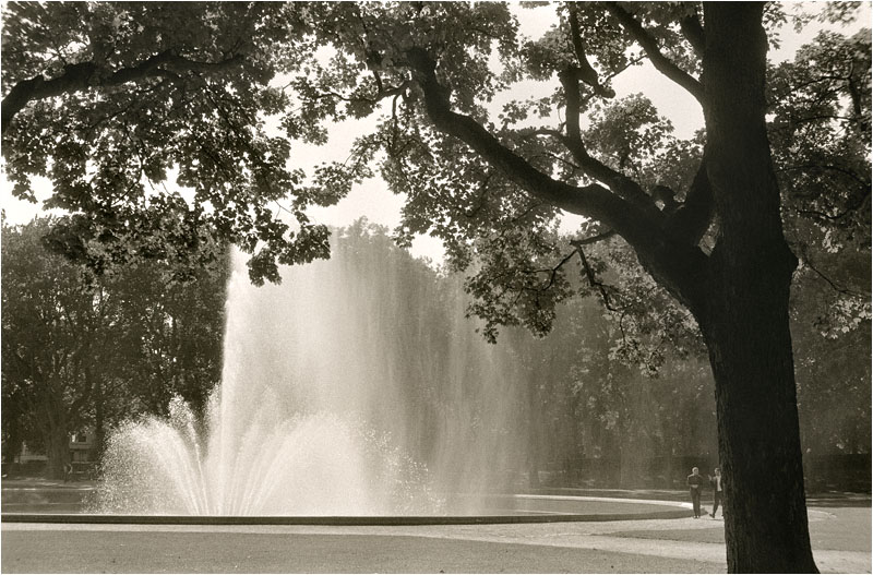 Zeiss Ikon Ikonta