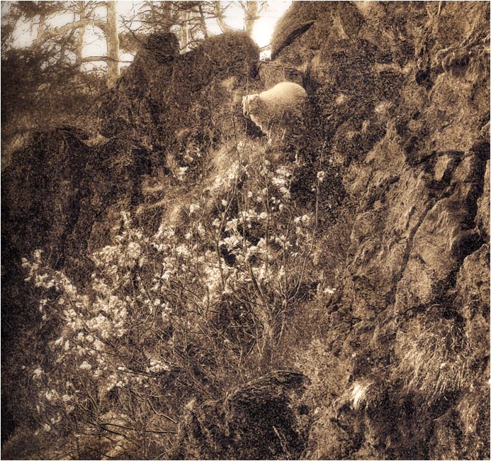 Detail  of the former picture.