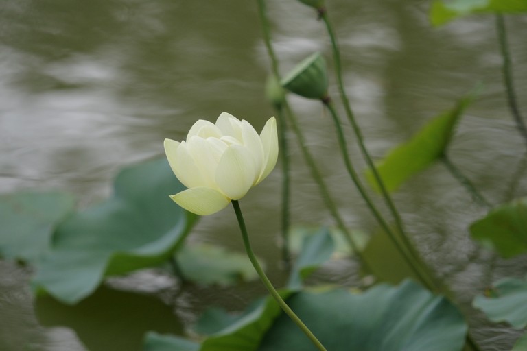 manip_IMG_8333-3.jpg