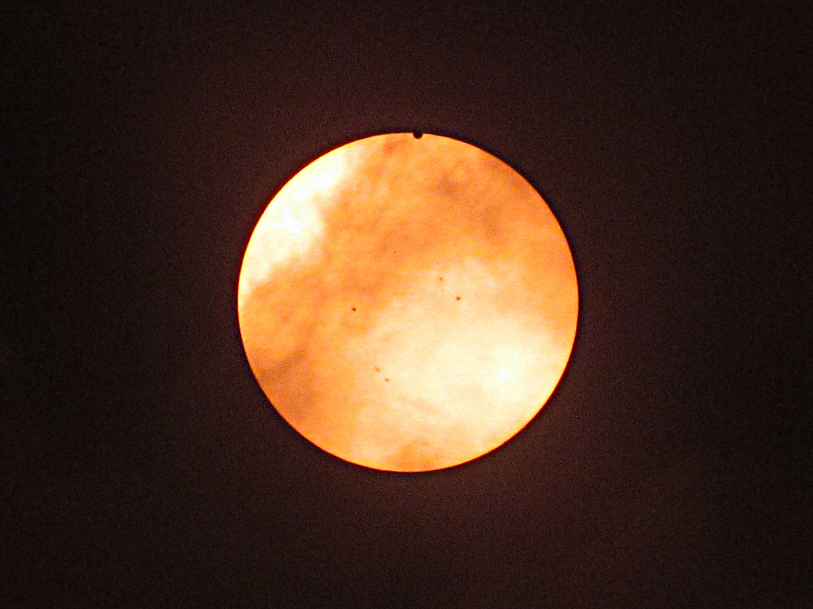 IMG_7542sz.JPG