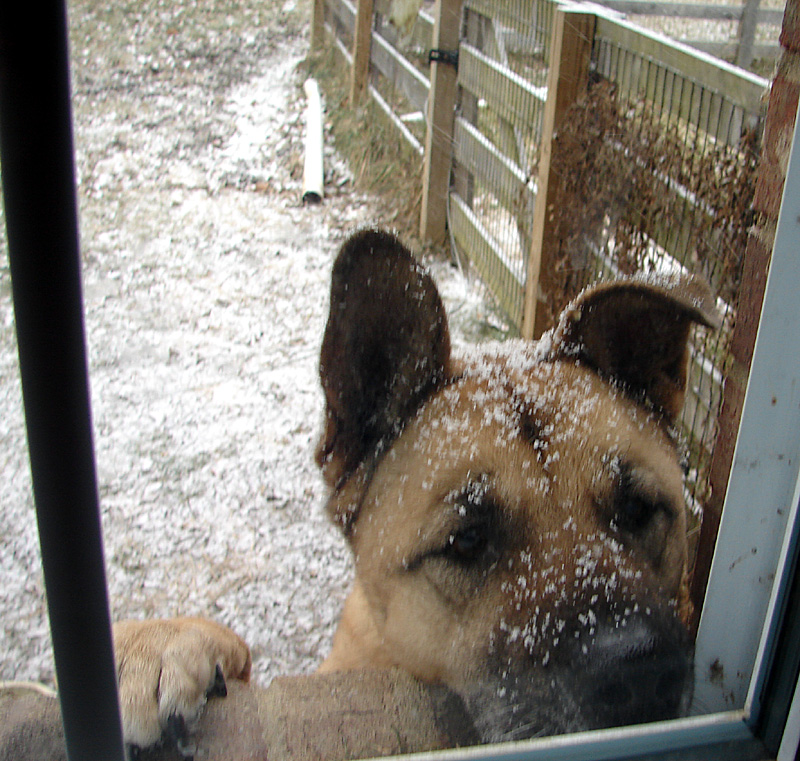 Hello?  Is anyone in there?