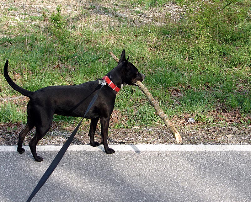 I found this swell stick.
