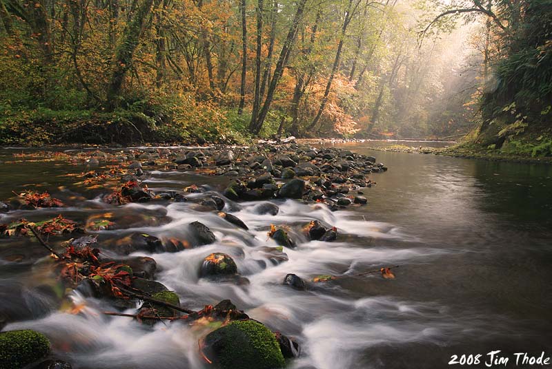 South Fork of the Newaukum River