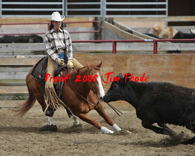 IMG_3517a.jpg