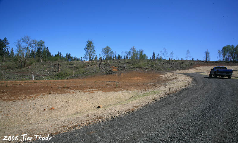 Lot 4 - Looking north