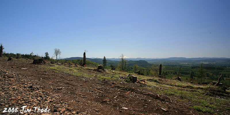 Lot 7 - Lookng SE