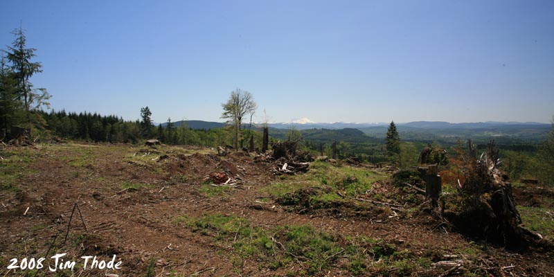 Lot 8 - Lookng SE