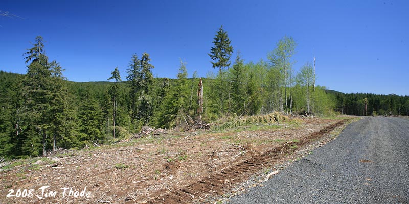 Lot 8 - Lookng NE