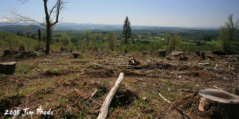 Lot 8 - Looking south