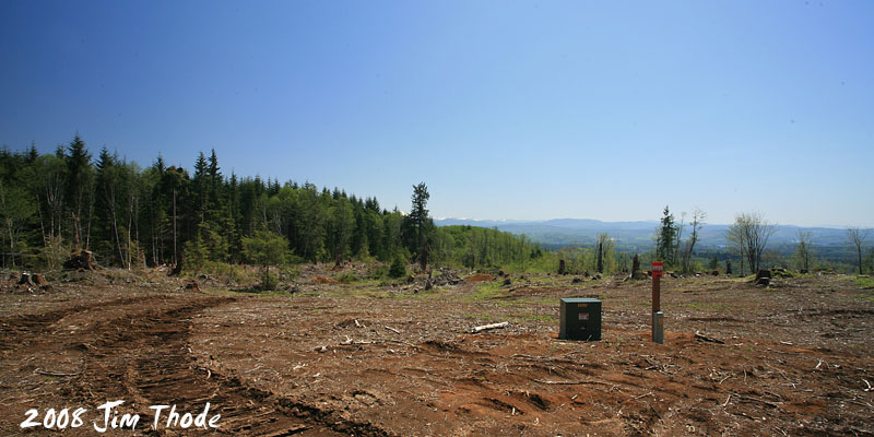 Lot 10 - Looking SE