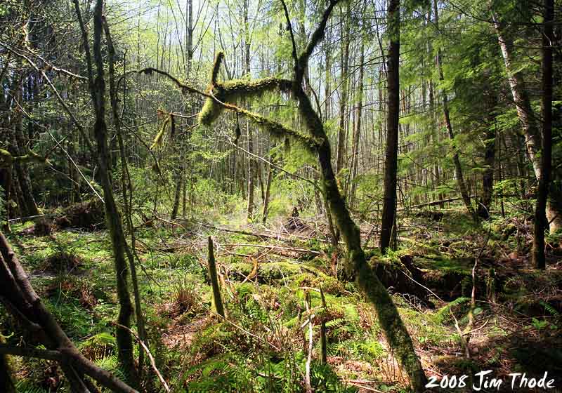 Lot 10 - North area