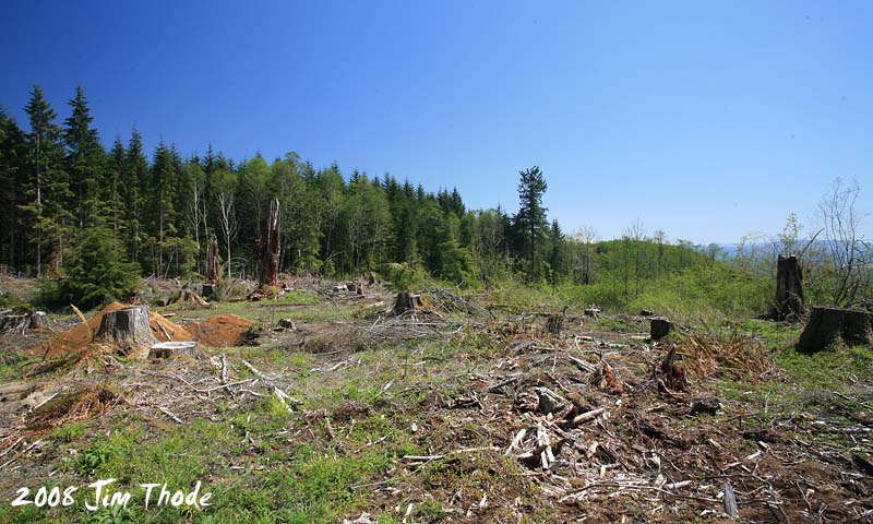 Lot 10 - Looking SE