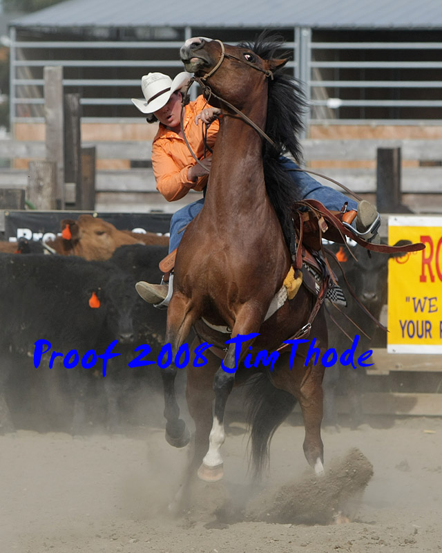 IMG_5291a.jpg