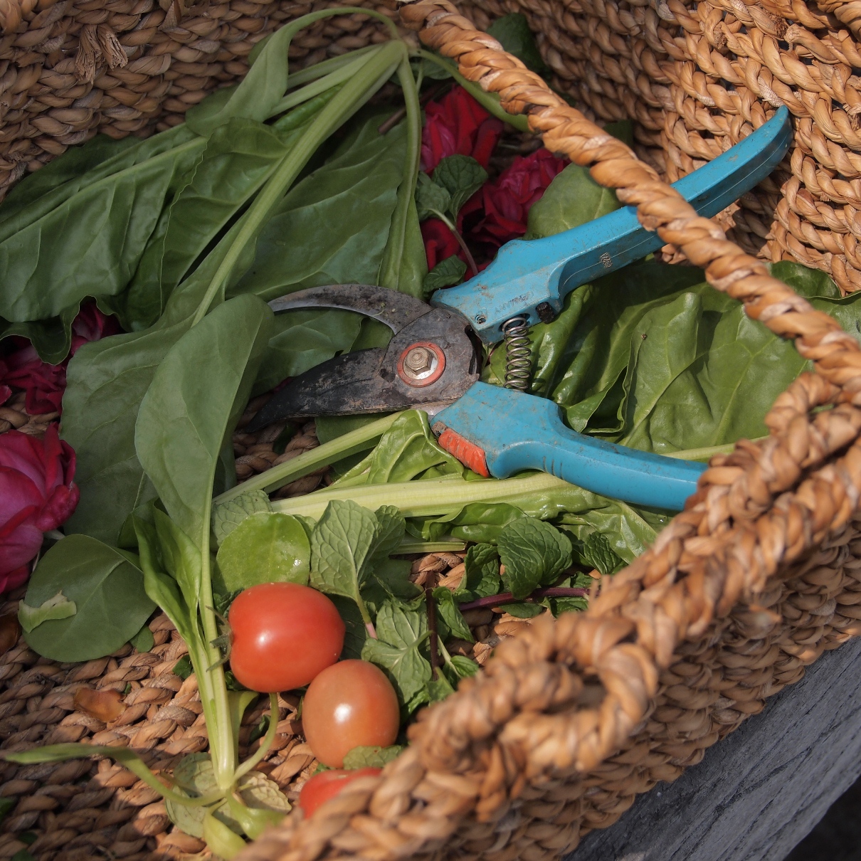 Organic living
