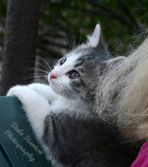 Bird Watching - IMG_7286.JPG