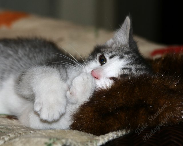 Little Baby Buster - IMG_7881.JPG