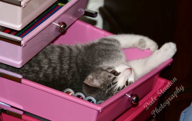 Drawer Full of Fun - IMG_8034.JPG