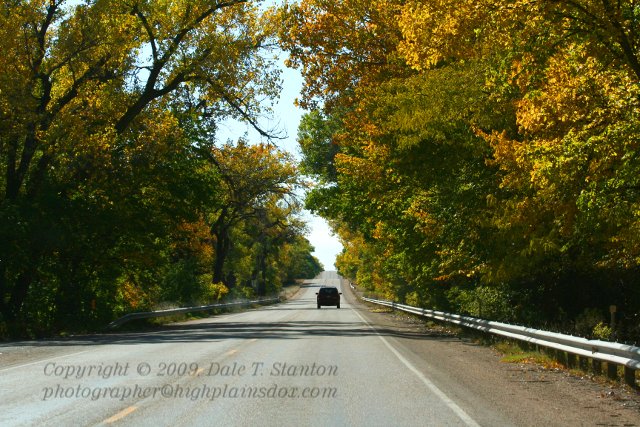 Autumn Road - IMG_5849.JPG