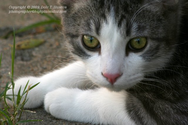 Buster - IMG_5896.JPG