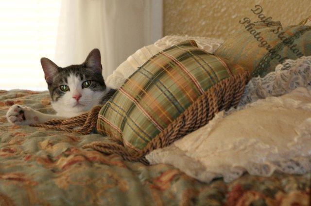 Pampered - IMG_6679.JPG