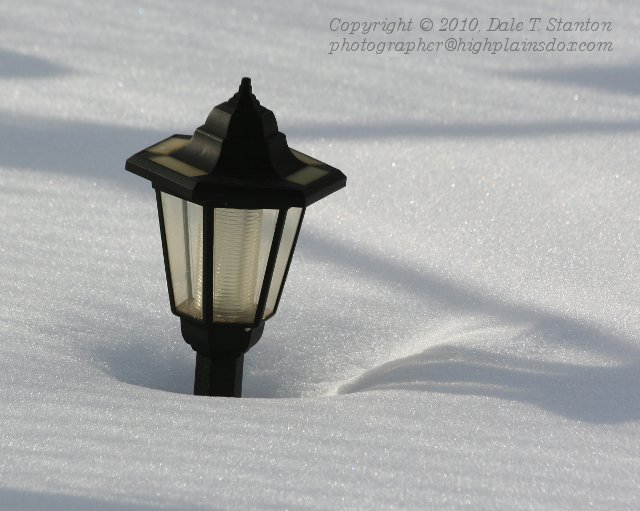 Light - IMG_7224.JPG