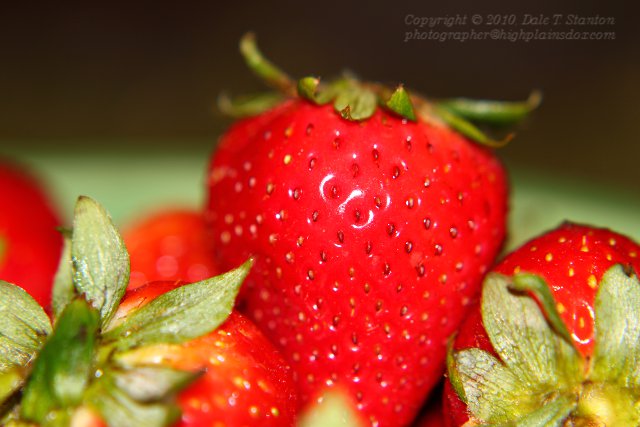 Strawberry - IMG_1145.JPG