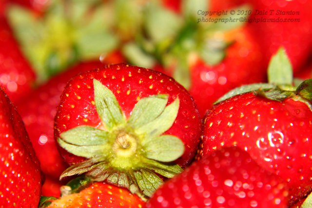 Strawberries - IMG_1144.JPG