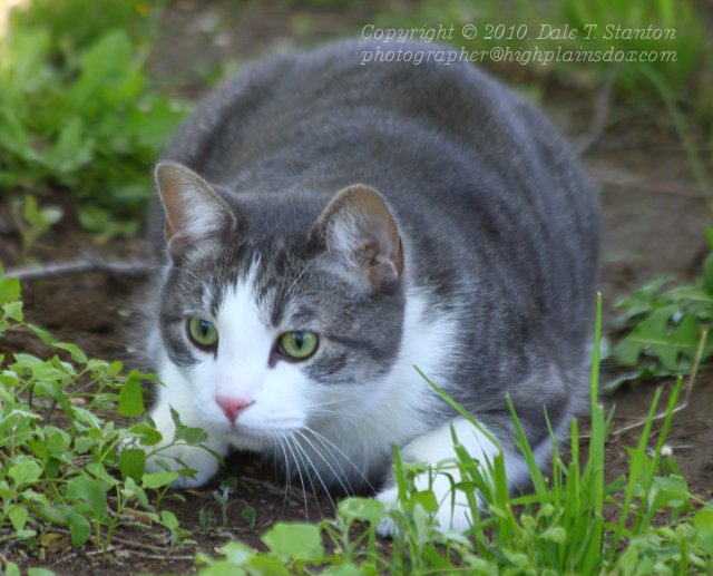 Stalking - IMG_1175.JPG