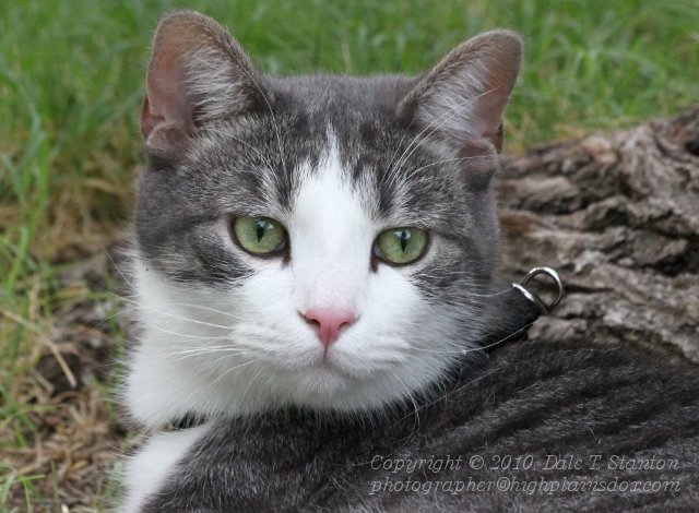 Posing - IMG_6327.JPG