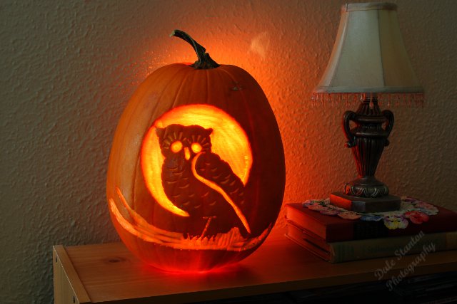 Owl Jack - IMG_8666.JPG