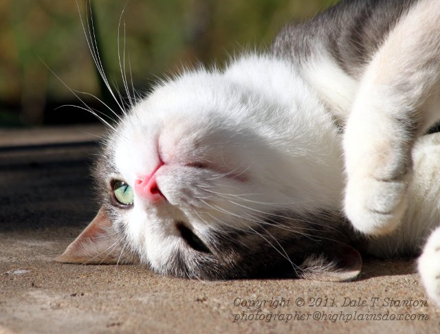 Upside Down - IMG_1185.JPG