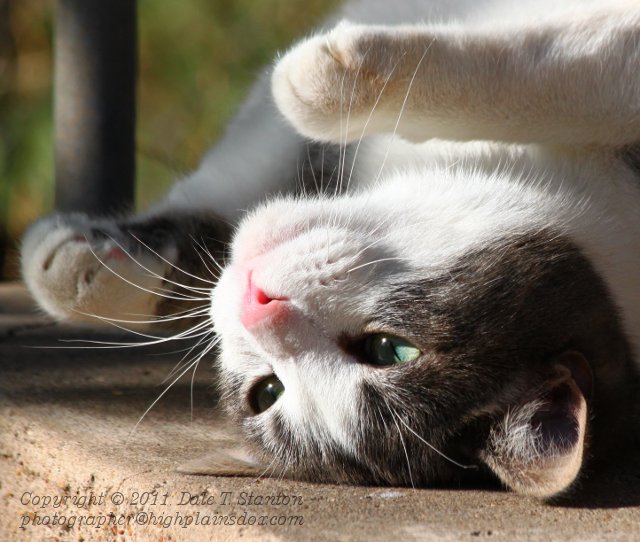 Upside Down - IMG_1189.JPG