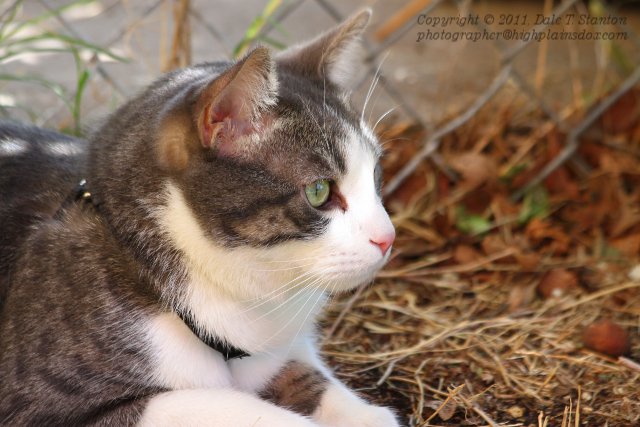 Buster - IMG_1438.JPG