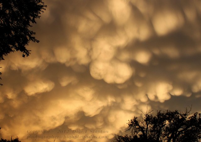 Mammatus - IMG_0969.JPG