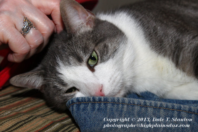 Ear Scratch - IMG_4021.JPG