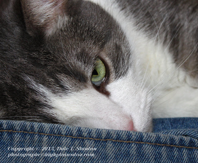 Buster 2012 - IMG_4020.JPG